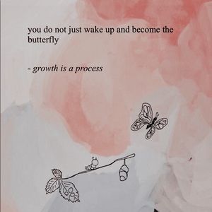 Meet your Posher, Tiger and jerry’s